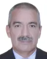 David Enrique Landa Tucto