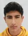 Paulo Sebastian Arroyo Altamirano