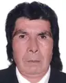 Benito Mar Puma