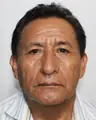 Alfredo Florencio Peña Castillon